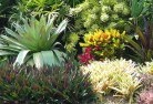 South Hobartplanting-garden-and-landscape-design-24.jpg; ?>